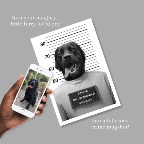 Personalised Pet Mugshot Print