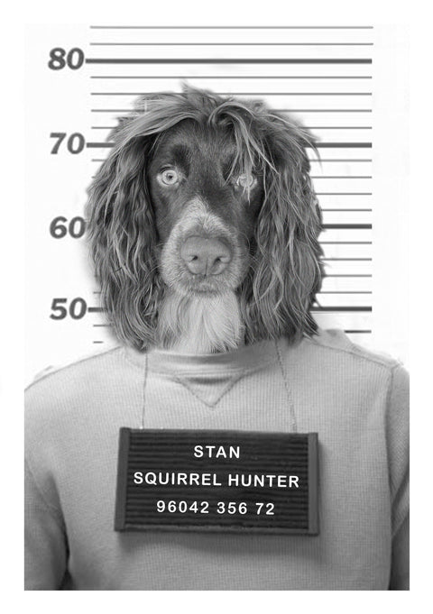 Personalised Pet Mugshot Print