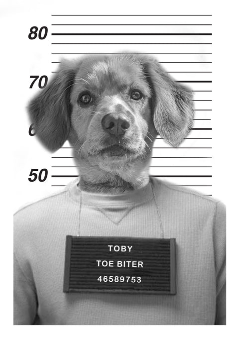 Personalised Pet Mugshot Print