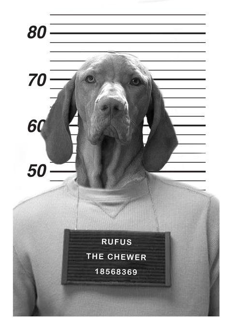 Personalised Pet Mugshot Print