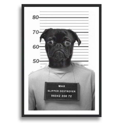 Personalised Pet Mugshot Print