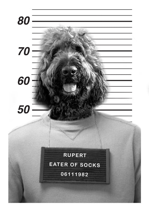 Personalised Pet Mugshot Print