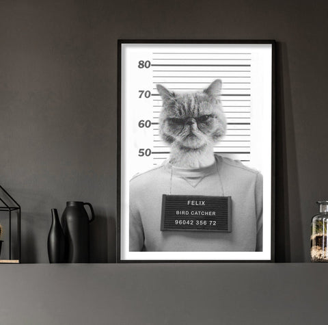 Personalised Pet Mugshot Print